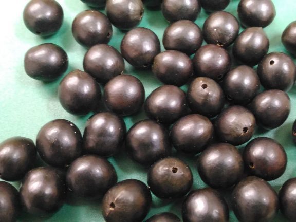 数珠 ムクロジの実